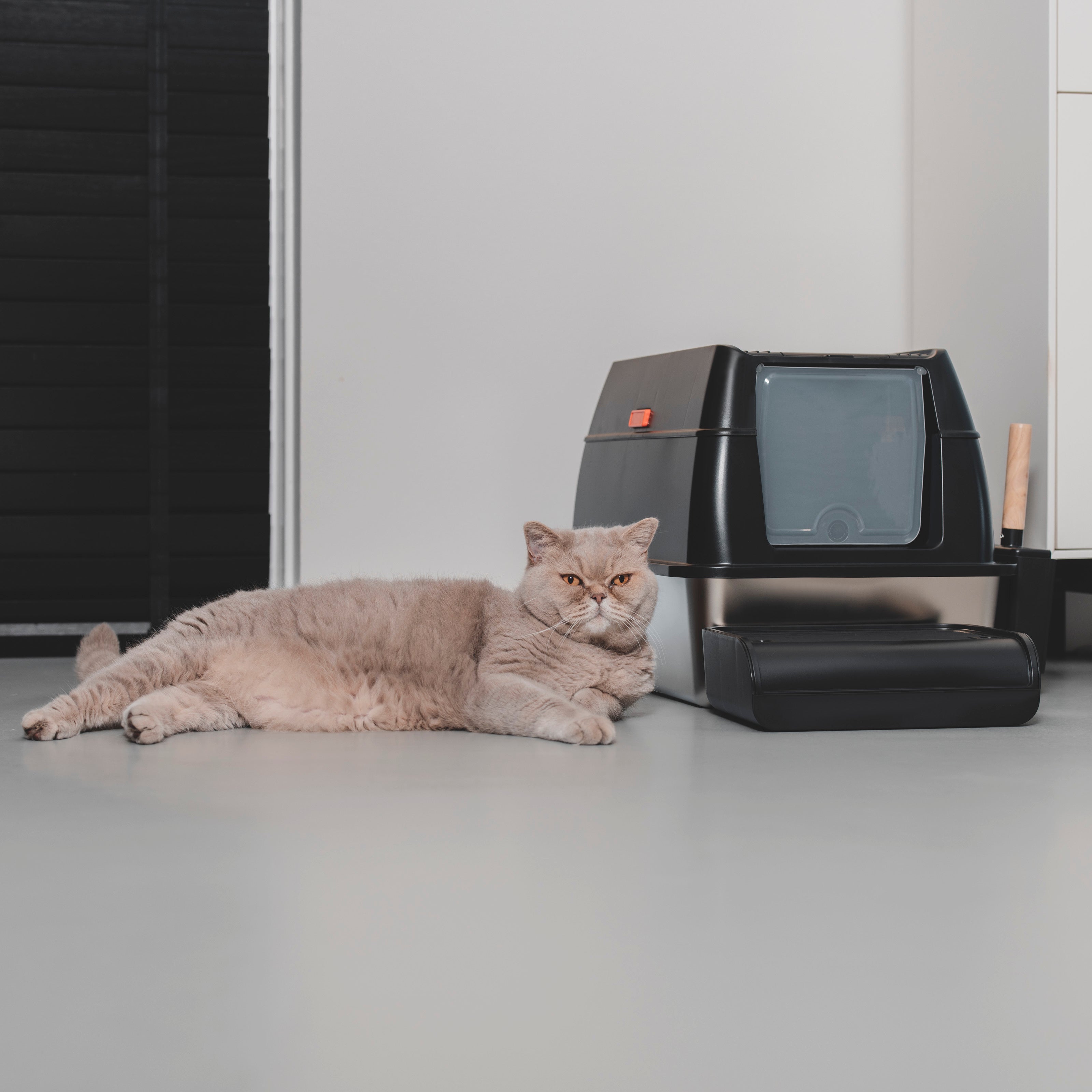 Kattenbak