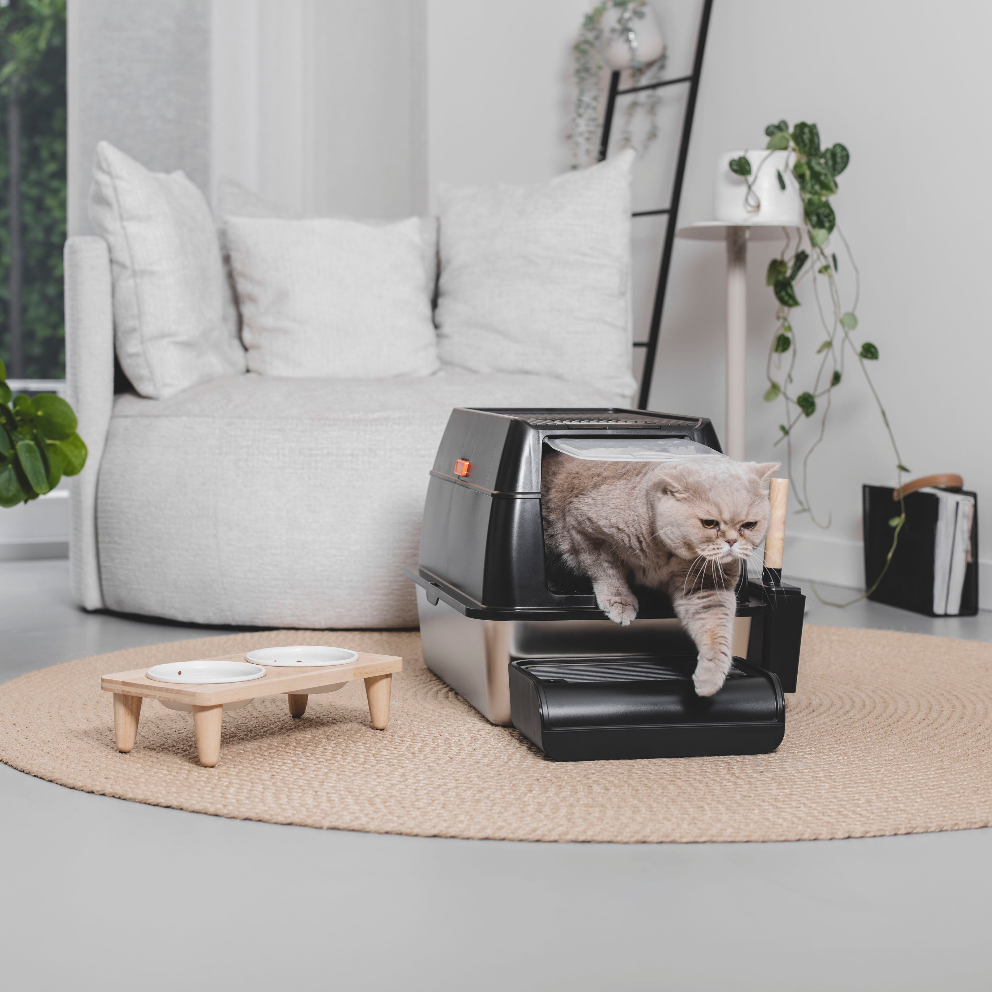 Kattenbak