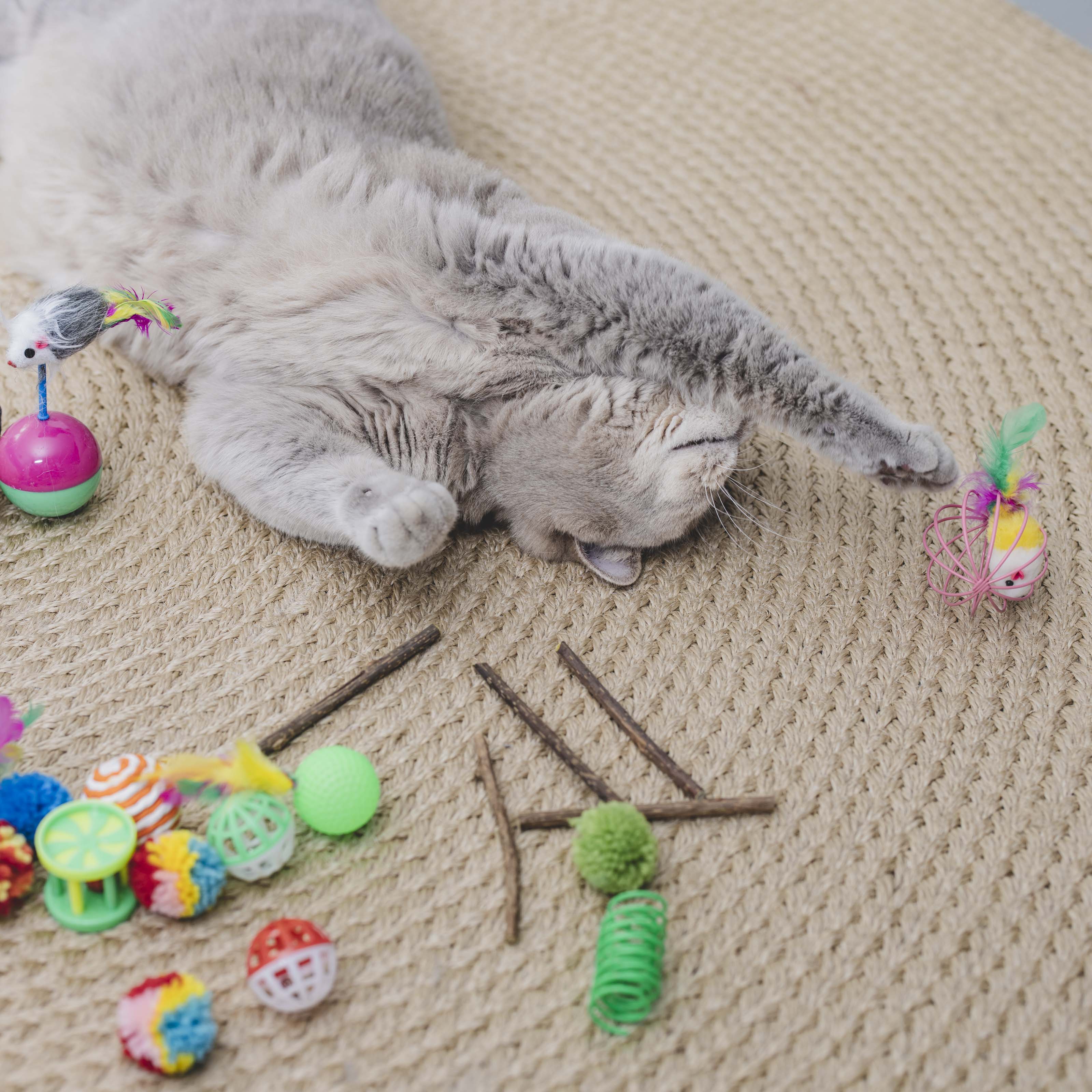 Kattenspeelgoed set