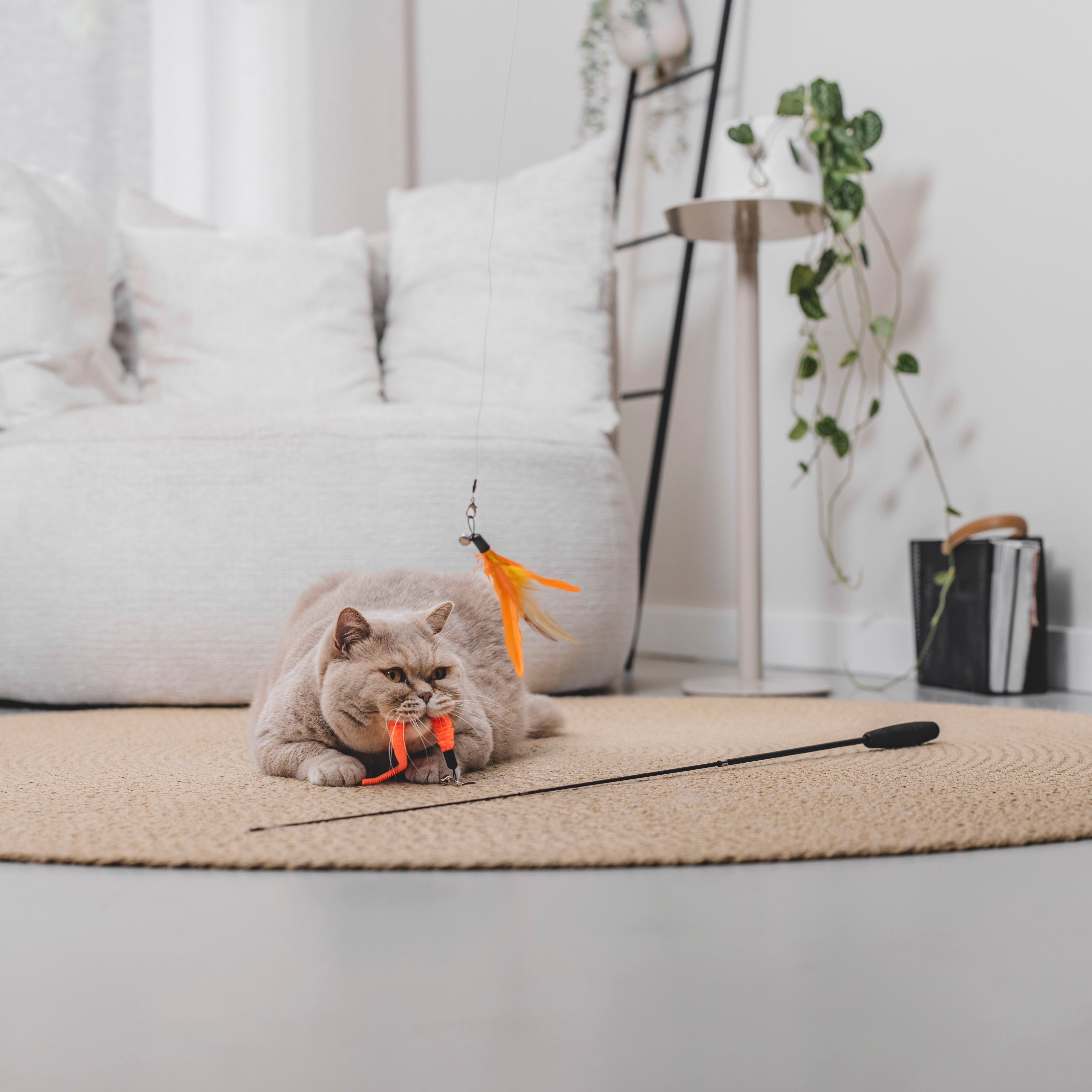 Kattenhengel